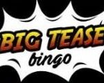 Big Tease Bingo logo
