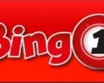 Bingo 1 logo