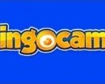 Bingocams See Bingo logo