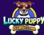 Lucky Puppy Bingo logo