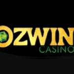 Ozwin logo