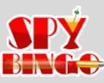 Spy Bingo logo