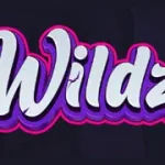 Wildzio logo