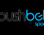 Pushbet logo