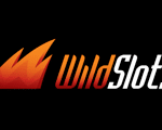 Wild Slots logo