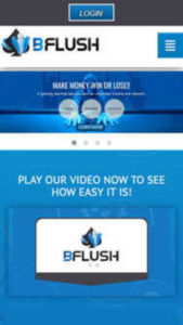 Bflush logo