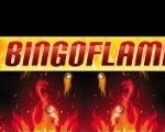 Bingo Flame logo