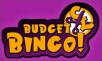 Budget Bingo logo