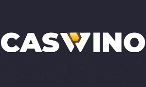 Caswino logo