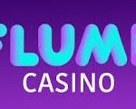 Flume logo