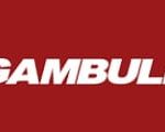 Gambull logo