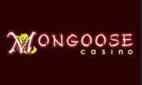 Mongoose