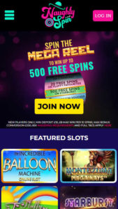 Naughty Spin logo