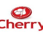 Playcherry Limited logo