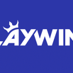 Playwins logo