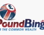 Pound Bingo logo