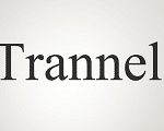 Trannel International Ltd logo