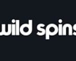 Wild Spins logo