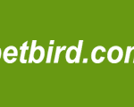 Bet Bird logo