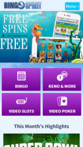 Bingo Spirit