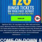 Bringo Bingo logo