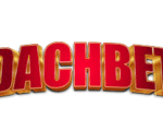 Dachbet logo