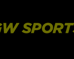 Gw Sports Bookmakerssister logo