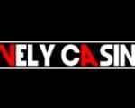 Lively logo