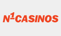 N1 Interactive logo