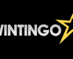 Wintingo logo